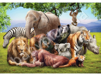 Пазли картонні 500 елементів серія 12 Animal Planet, Danko Toys
