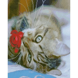 Алмазна картина Котик з квіткою 40х50 см. Strateg D0007