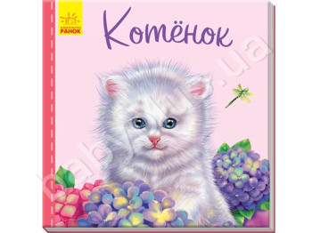 Милые зверьки, Котёнок, Ранок