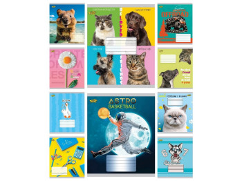 Набір зошитів у лінію Тетрада Pets ТА62112, 12 аркушів , 25шт