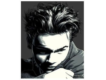 Набор для росписи по номерам River Phoenix 40х50 см, Strateg
