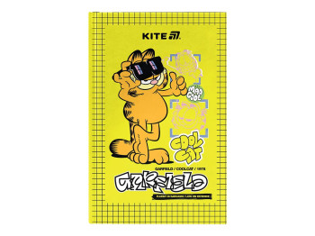 Книга записная в твердом переплете на 80 листов А6 в клетку, Garfield, Kite