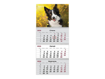 Календарь настенный квартальный Axent Dogs 3 2026, 3 пружины, 297×630 мм