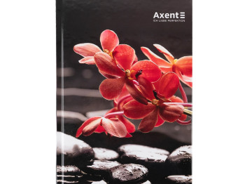 Книга записная в клетку R&B Flower А5. 96 листов. Axent 8457-7-A
