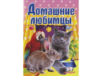 Детская книга Школа малыша. Домашние любимцы. Пегас 9789669133885