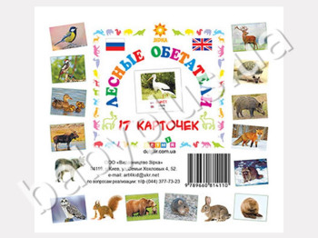Карточки мини Лесные обитатели (рус) (110х110 мм)