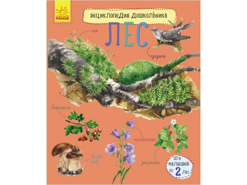 Детская книга Энциклопедия дошкольника, Лес, Ранок