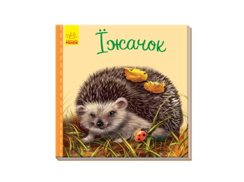 Милые зверюшки Ежик, Ранок