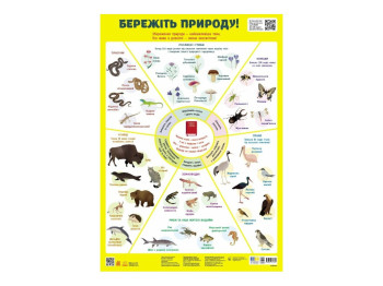 Учебные плакаты "Берегите природу!", Кенгуру