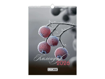 Календар настінний Buromax Emphasis on color 2026, А3, на 1 пружину