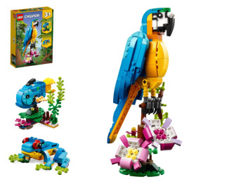 Конструктор 3 в1 LEGO Creator Экзотический попугай, 253 деталей