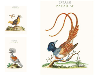 Зошит загальний у лінію 80 аркушів А4 (ціна за 1 шт)