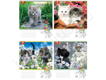 Тетрадь 12 л. косая линия с доп. Люкс Котики, (цена за упаковку 25 шт.)