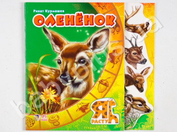 Детская книга Я расту, Олененок, Ранок
