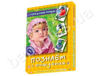 Набір ігор Пізнаємо з народження, Міські птахи, Ранок