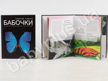 Детская книга Моё хобби, Бабочки - сказочные создания, Ранок