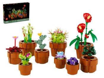 Конструктор LEGO Botanicals Мініатюрні рослини, 758 деталей