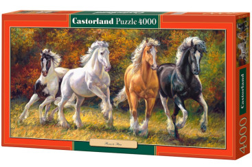 Пазли Коні, 4000 елементів, Castorland