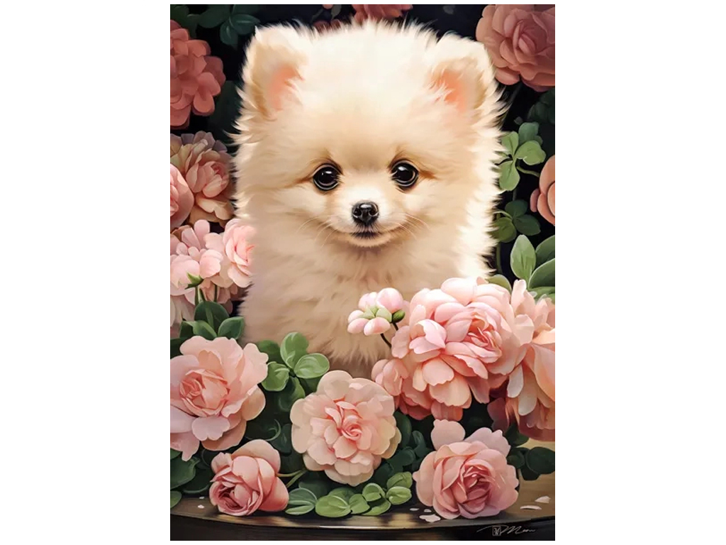 Пазли Цуценя померанського шпіца в трояндах, 60 елементів, Castorland