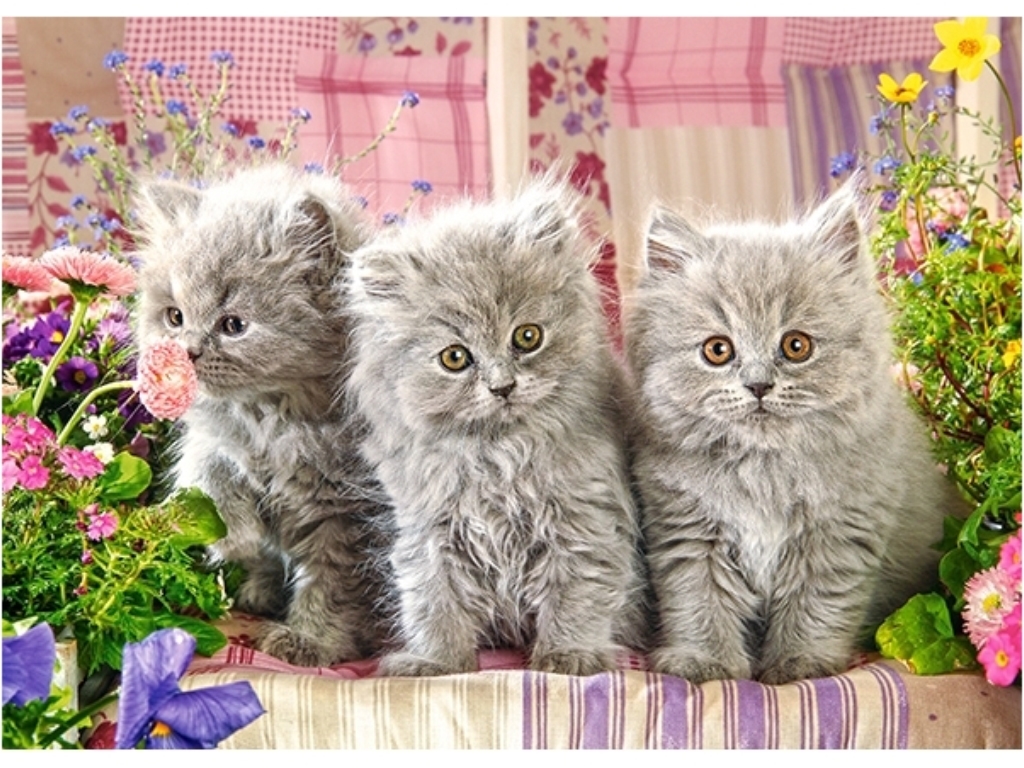 Пазлы Три серых котёнка, 260 элементов, Castorland