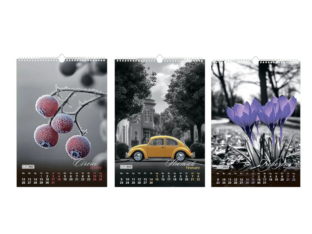 Календар настінний Buromax Emphasis on color 2026, А3, на 1 пружину