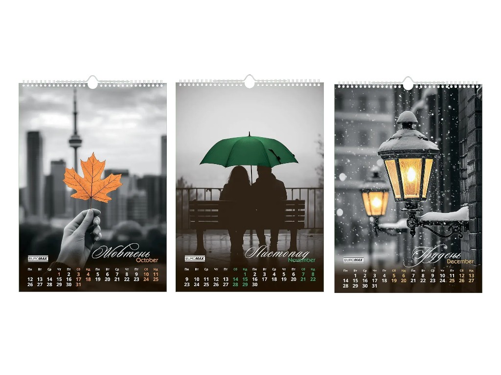 Календар настінний Buromax Emphasis on color 2026, А3, на 1 пружину