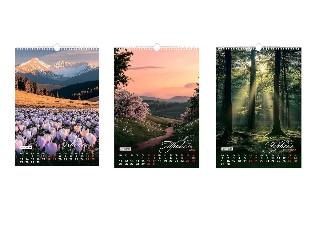 Календар настінний Buromax Seasons landscape 2026, А3, на 1 пружину