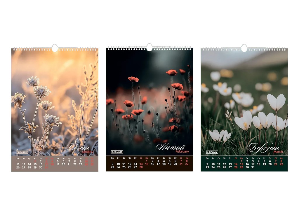Календар настінний Buromax Wild flowers 2026, А3, на 1 пружину