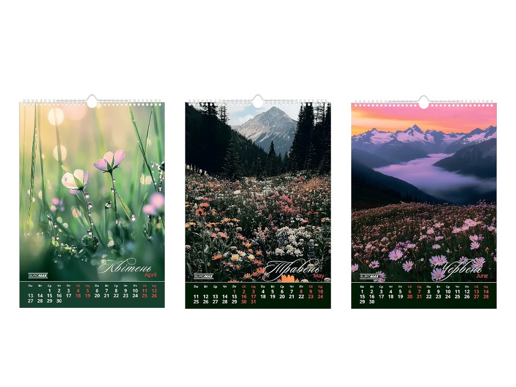 Календар настінний Buromax Wild flowers 2026, А3, на 1 пружину