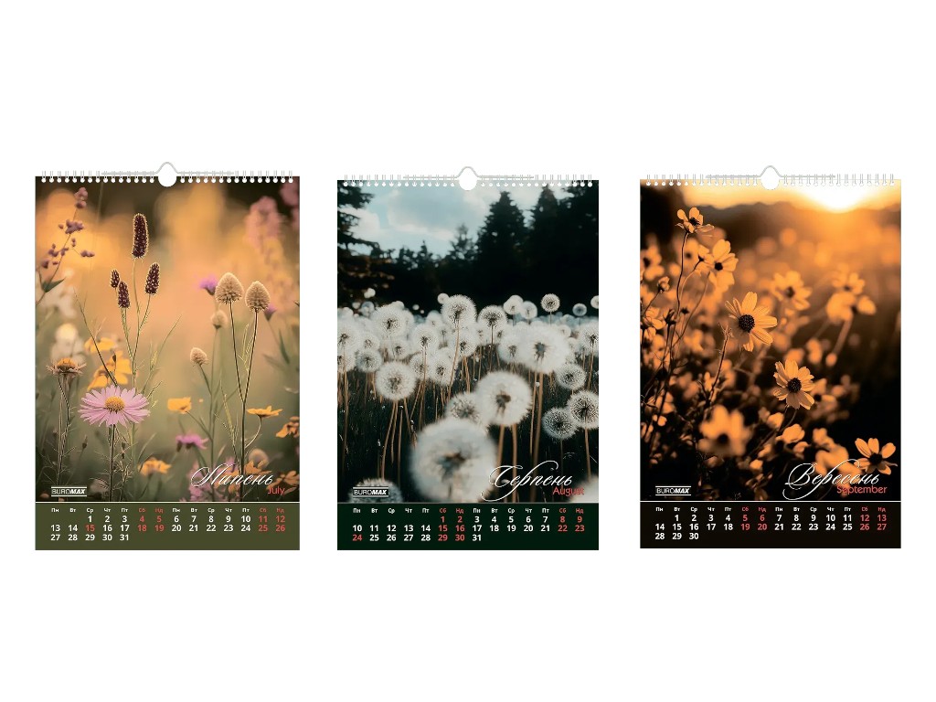 Календар настінний Buromax Wild flowers 2026, А3, на 1 пружину
