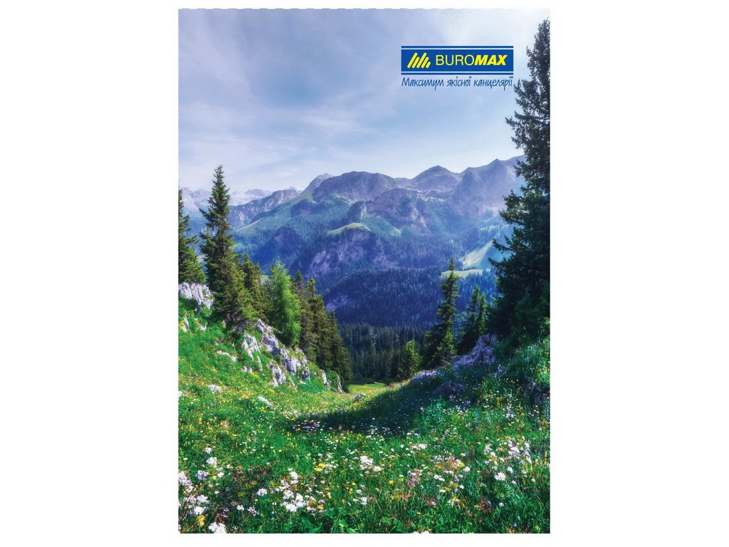 Книга канцелярская А4 в клетку, 96 листов, твердый переплет, 4 вида