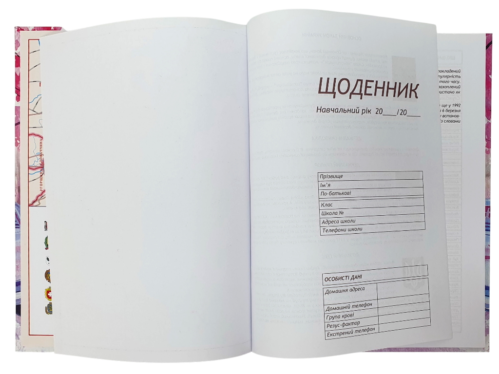 Щоденник шкільний, В5, тверда обкладинка з поролоном, 48 аркушів