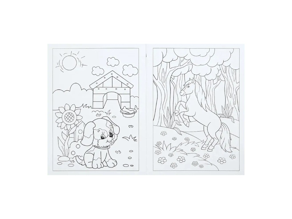 Розмальовка "Ферма", 5+, ZiBi KIDS Line