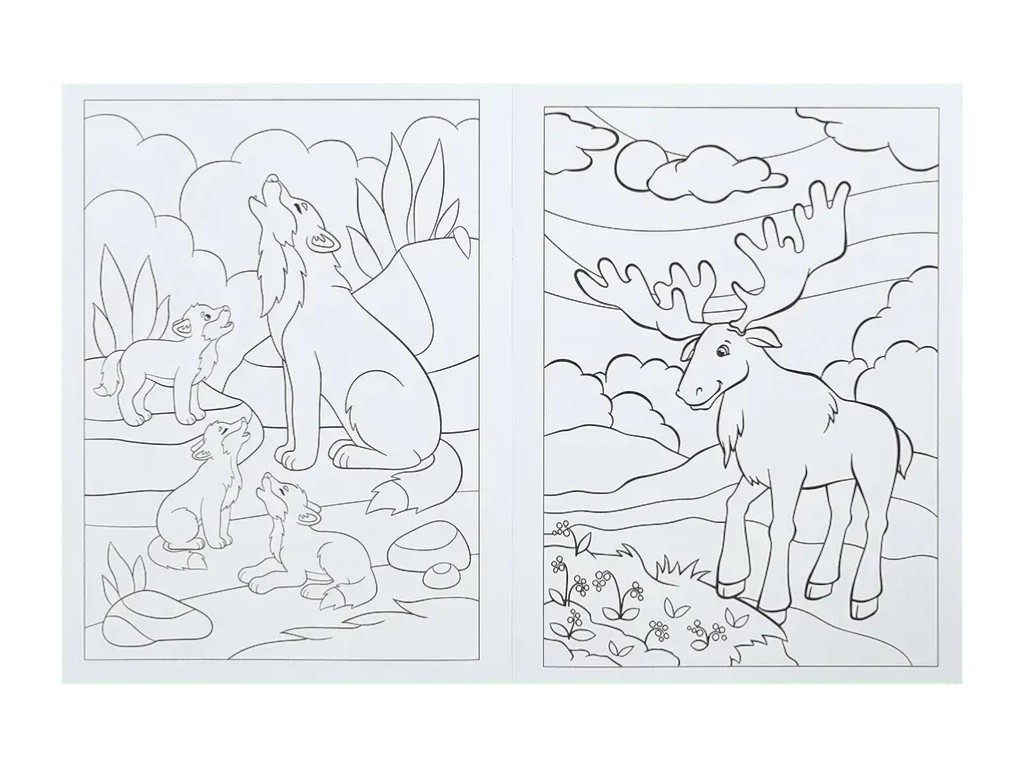 Розмальовка "Лісові тварини", 5+, ZiBi KIDS Line