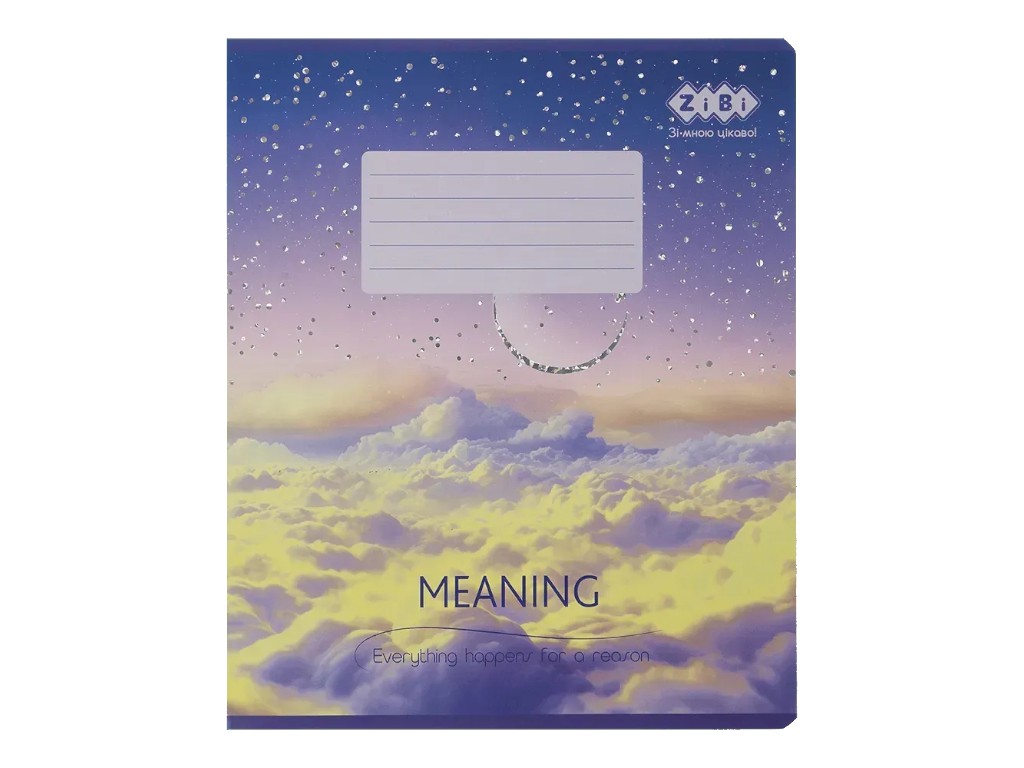 Зошит шкільний в клітинку Meaning, 36 аркушів B5 (ціна за 1шт)