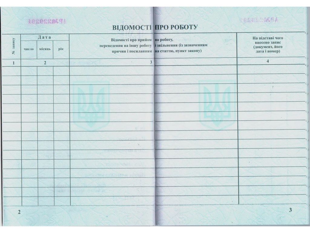 Трудовая книга, Белый тигр bt.000007844