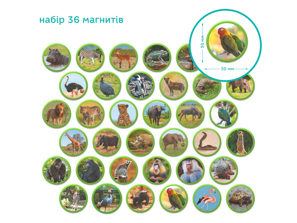 Магнітний набір Монтесорі Тварини на континентах, Африка, DoDo