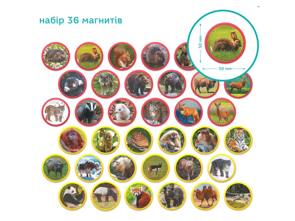 Магнітний набір Монтесорі Тварини на континентах, Євразія, DoDo
