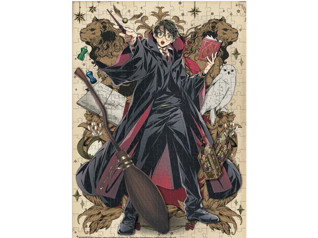 Пазл Harry Potter, Династія чарівників, Гаррі, 250 елементів, DoDo 200495