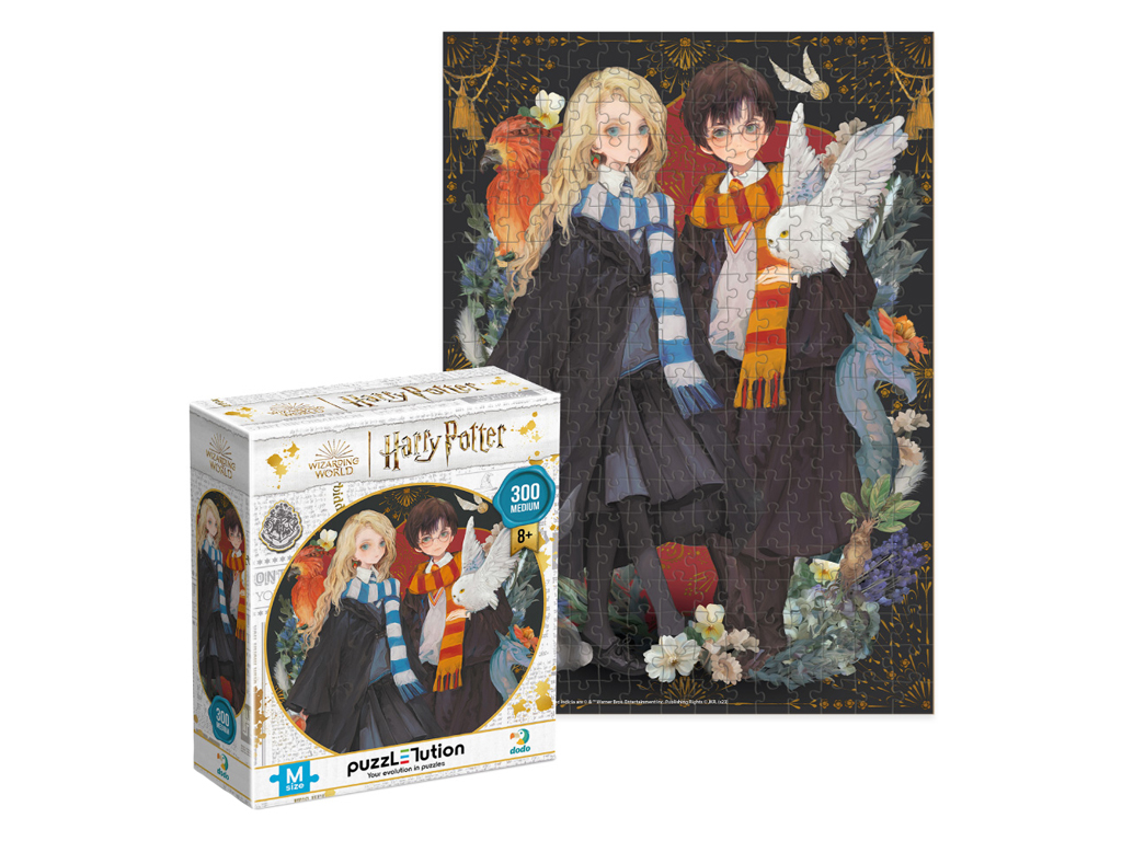 Пазл Harry Potter, Луна та Гаррі, 300 елементів, DoDo 200500