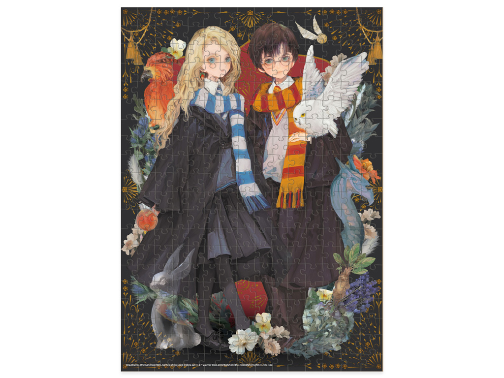 Пазл Harry Potter, Луна та Гаррі, 300 елементів, DoDo 200500