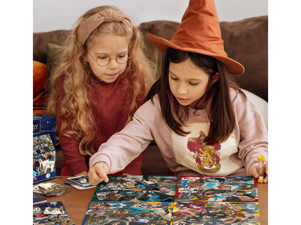 Настольная игра Harry Potter Find It, DoDo
