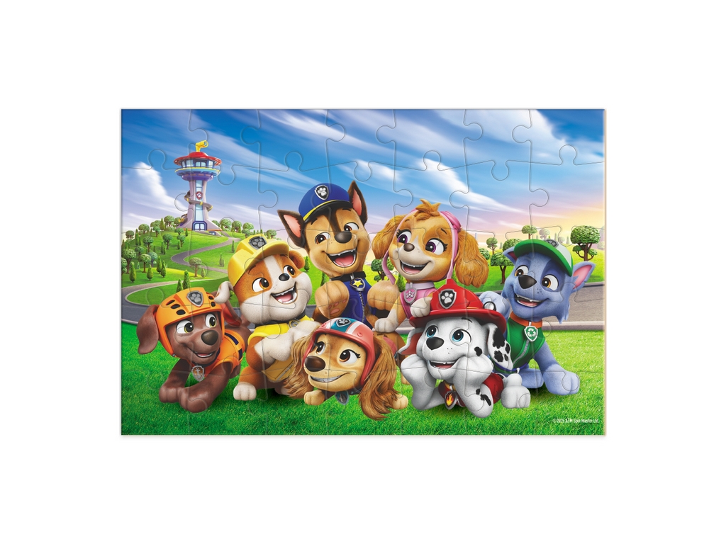 Пазл-міні Paw Patrol, Зустріч біля вежі, 35 елементів, DoDo 200688