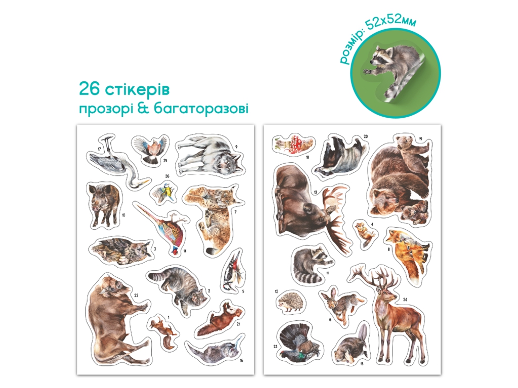 Навчальний постер з наклейками Мешканці лісу XL, DoDo 300894