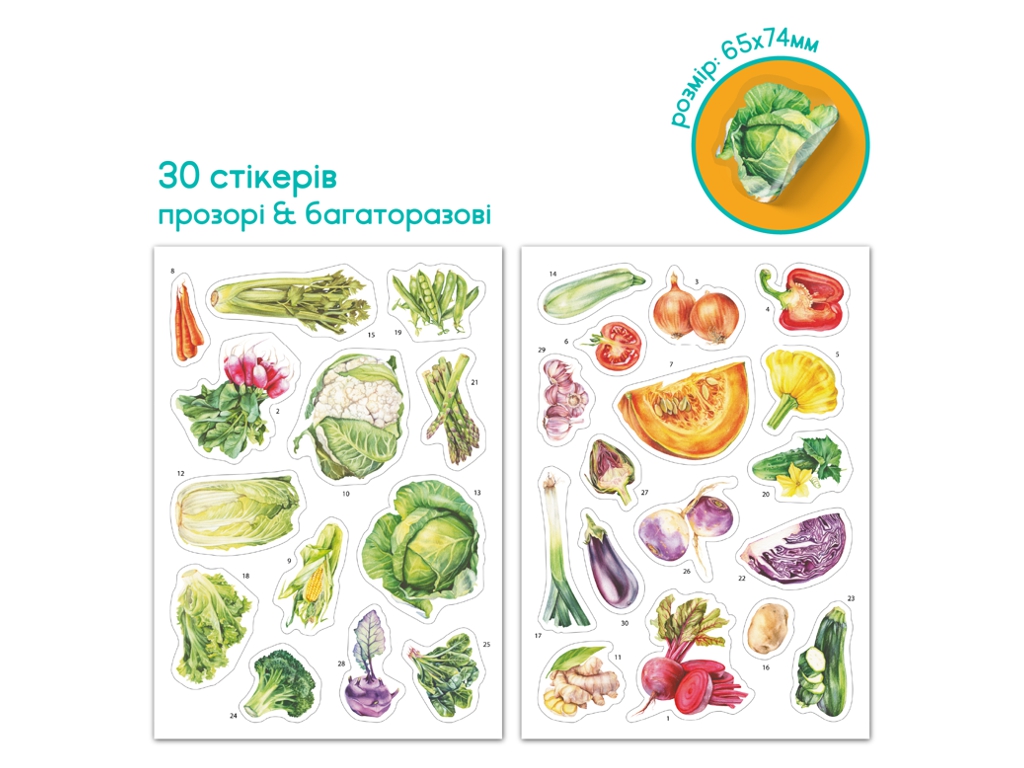 Навчальний постер з наклейками Овочі XL, DoDo 300902