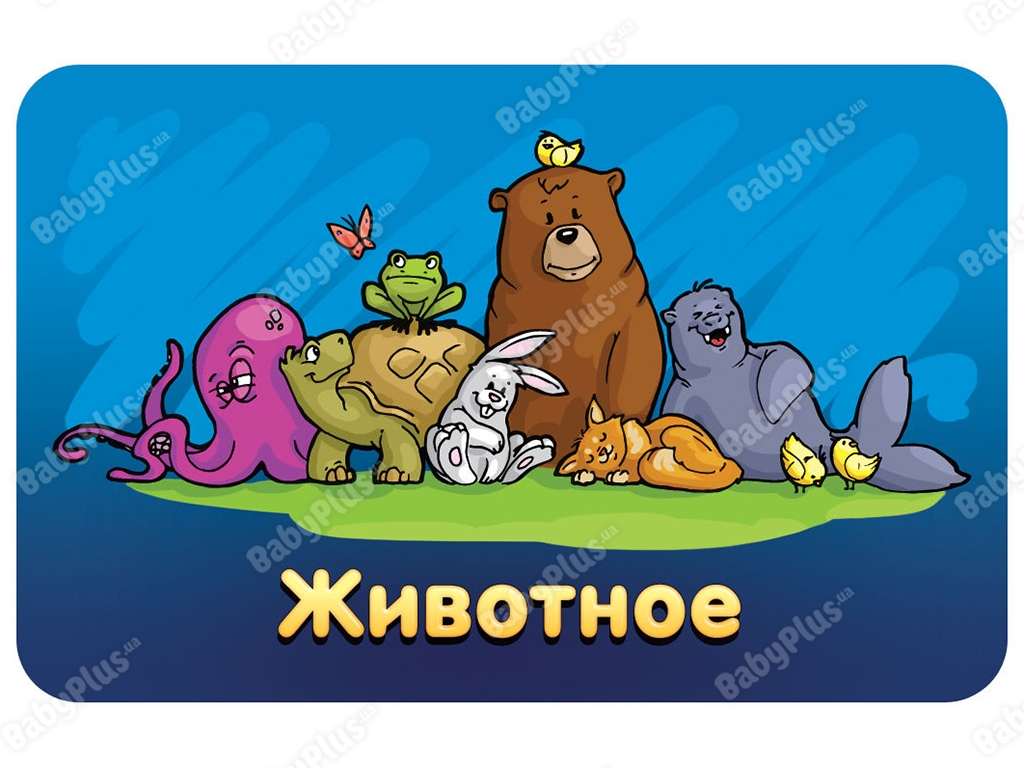 Настільна гра Соображарій Junior. Hobby World 4620011817570