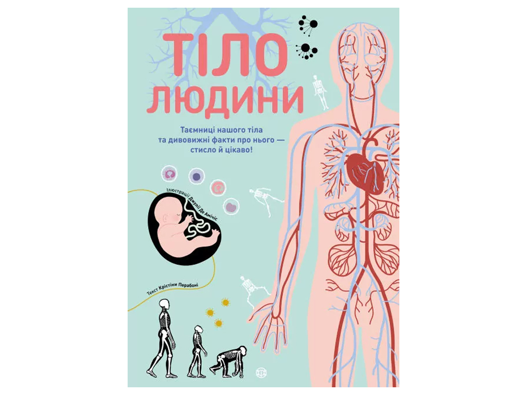 Иллюстрированная книга, "Тело человека", 72 с., Кристина Перабони, Жорж