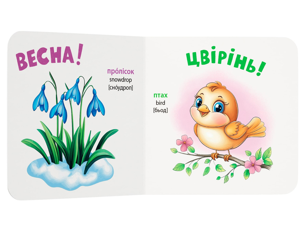 Книга-розглядайка "Пори року", розвивайка, картон, укр мова, Катерина Столяренко, Кристал Бук