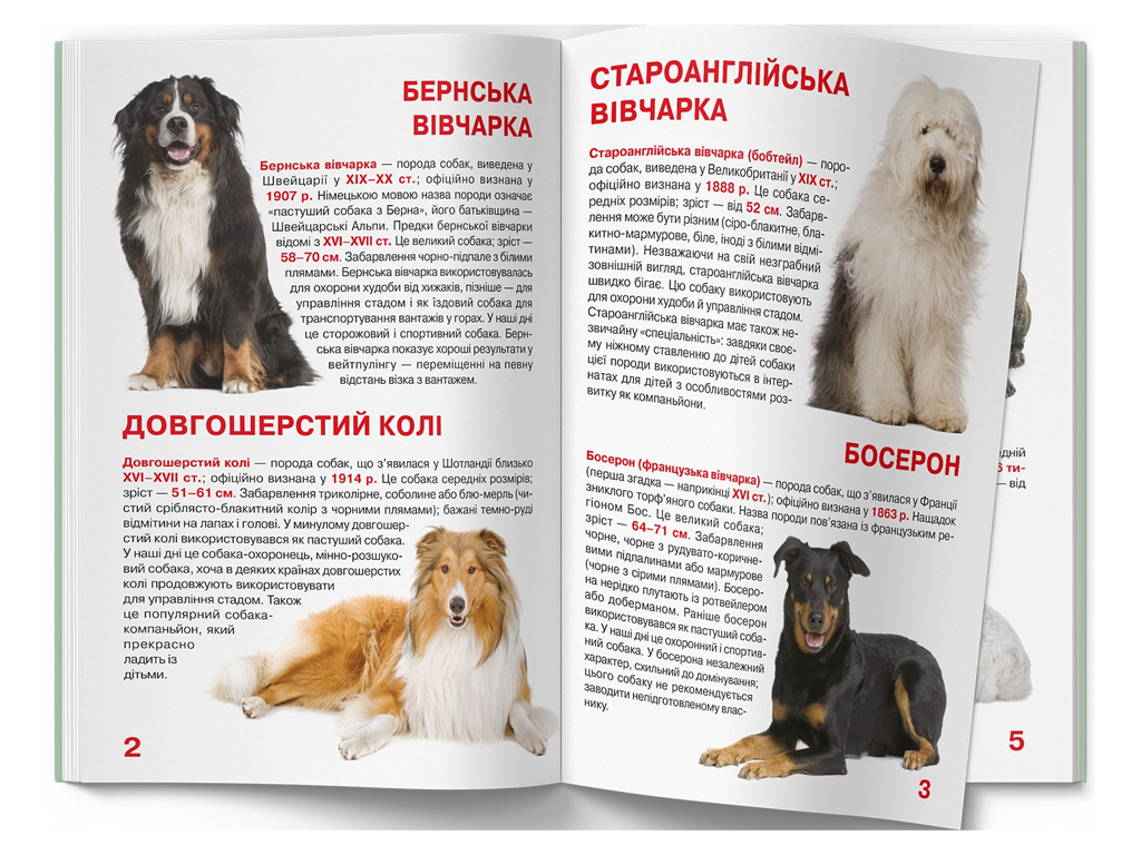Большая книга "Служебные собаки", Crystal Book