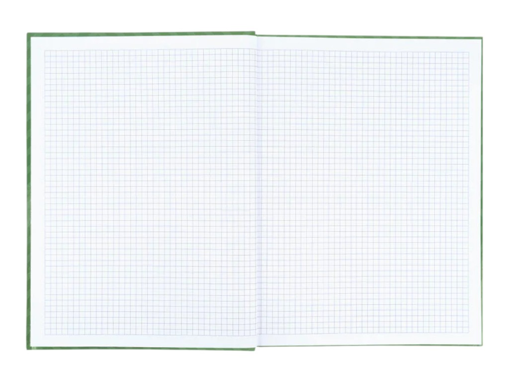 Книга записная Pattern Axent 8425-1-A, A4, клетка, 96 листов, зеленая